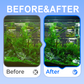🔥 LAST DAY PROMOTION - 50%OFF🌊✨3-in-1 Aquariumfilter – Filtratie, Zuurstoftoevoer & Waterpompen🐠