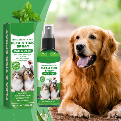💜LAATSTE DAG - KOOP 2, KRIJG 1 GRATIS💜Meer dan 50.000 verkocht!✨🐶🐱Natuurlijke vlooien- en tekenspray voor honden en katten